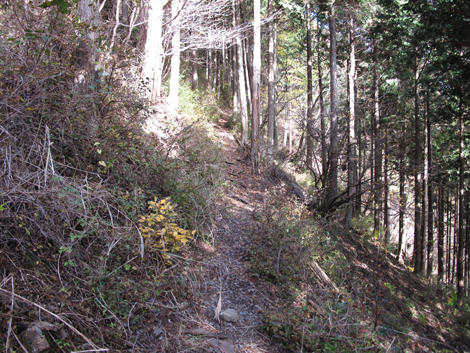 20151116hike (171)